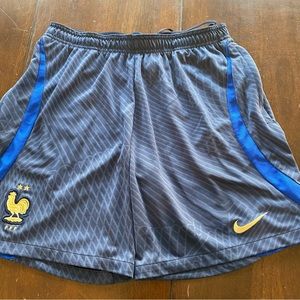 Nike Men’s France National Team Soccer Large training shorts